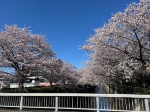 春ですね～