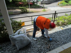 一生懸命に草取りをされています