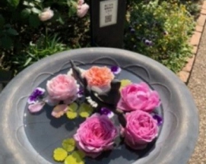 バラの花手水