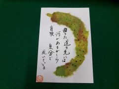 胡瓜の色合いが素敵ですね。