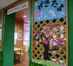 カフェ入り口の桜