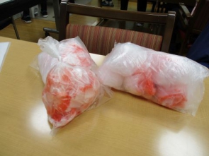 今回は赤インクをつかって病原体に見立てて訓練を行いました
