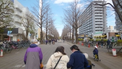 いちょう通りへお散歩