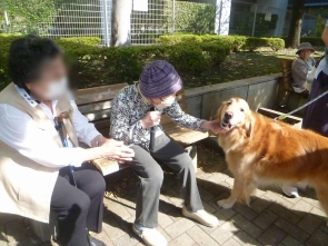 癒される～