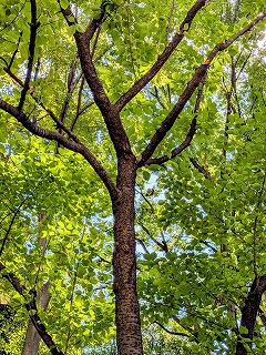 探してみてね♪
