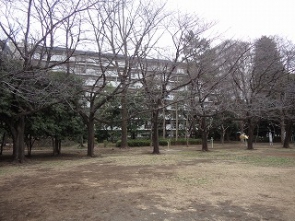 2026.3/6曇/まだまだ