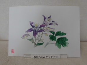 水彩色えんぴつクラブ「オダマキ」