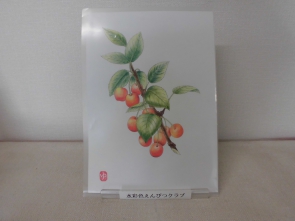 さくらんぼ【水彩色えんぴつ】