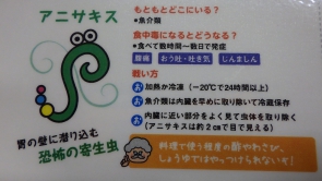 アニサキス