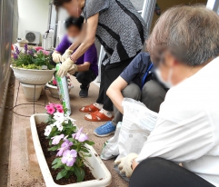 ベランダで、花の植え替え