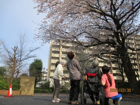 みんなでお花見♪