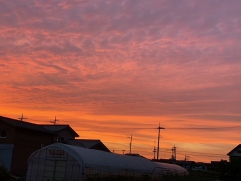 夏のはじめに見かけた夕焼