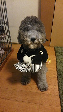 皆さま、良いお年をお迎えくださいませ。