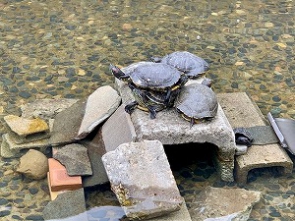一歩ずつ、少しずつ