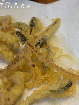 天ぷらも美味しかったです