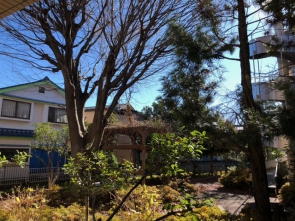 事務所の窓から見える景色もすっかり冬になりました。