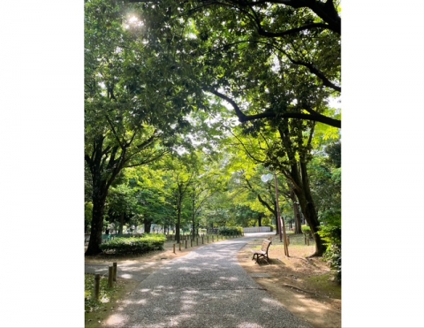 田柄地区は緑がいっぱいです！