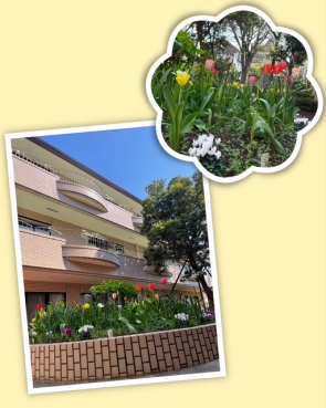 施設内でも春を見つけました！