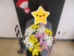 たくさんの菊！